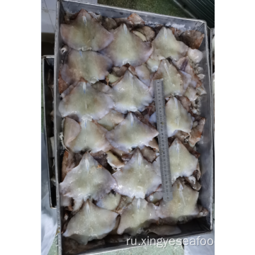 Замороженные кальмар остаток оставшегося крыла нетоотдарус Sloanii 0-200G